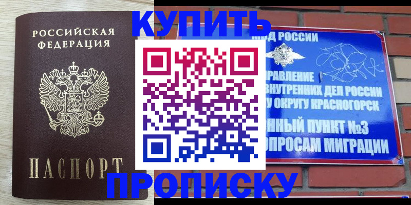 прописка гарантия в Светлогорске